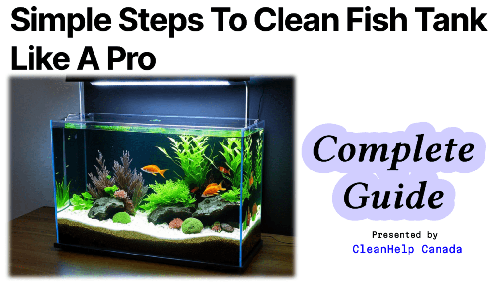blog image about how to clean a fish tank