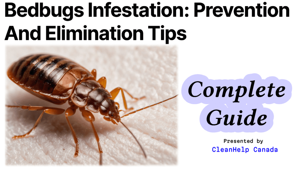 blog image about how to Prevent Bed Bug